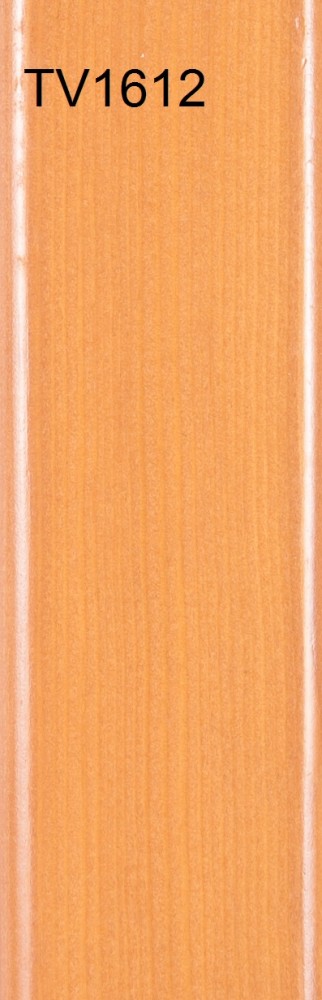 TV1612